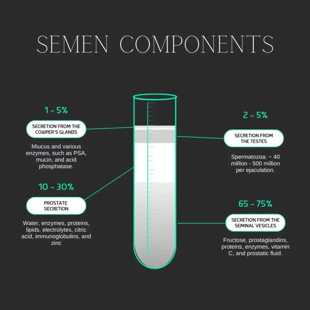 semen components