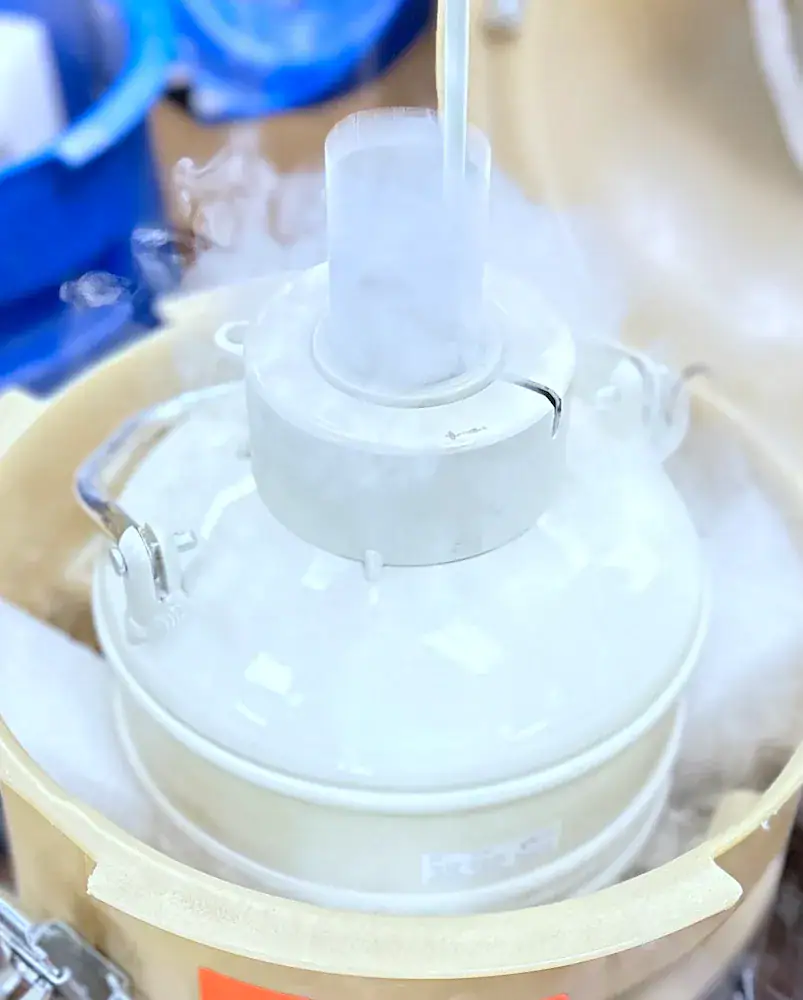 at home insemination kit dry shipper