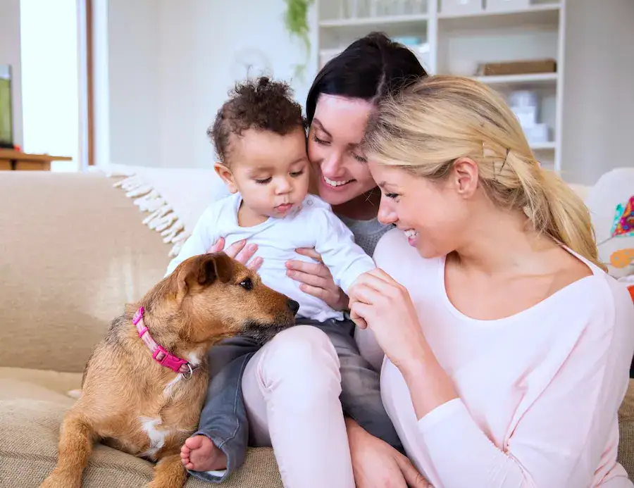 two moms who used directed donor collection services